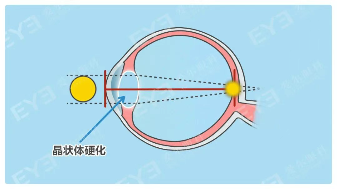 圖片.png 圖片.png